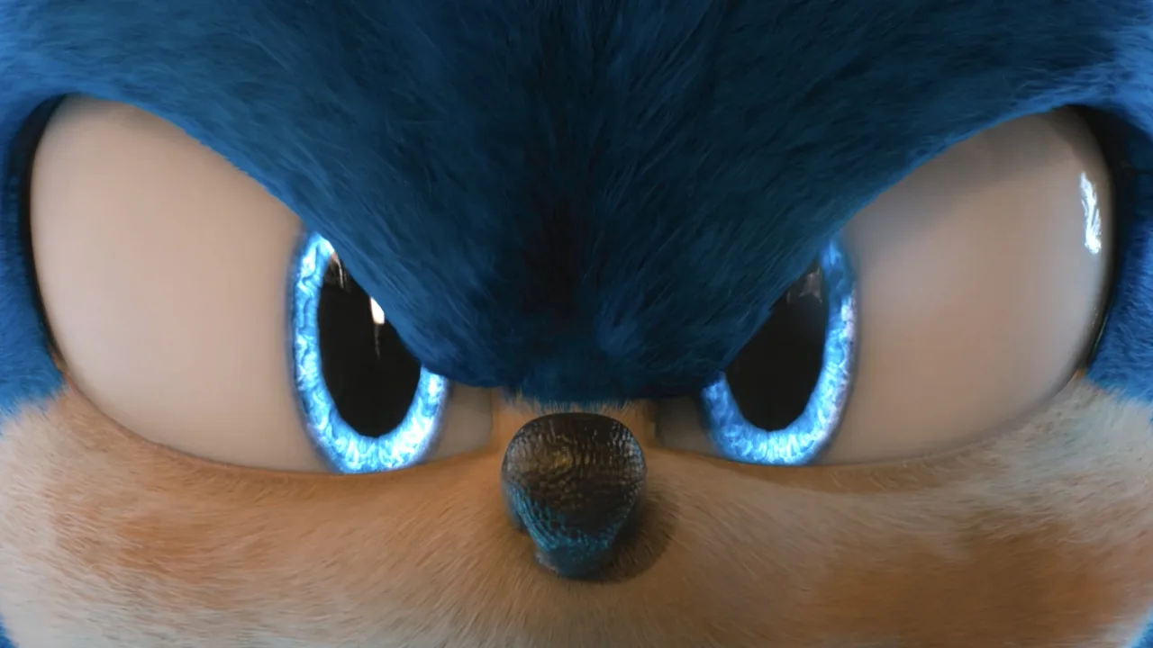 Kirpi Sonic İndir - görsel 9