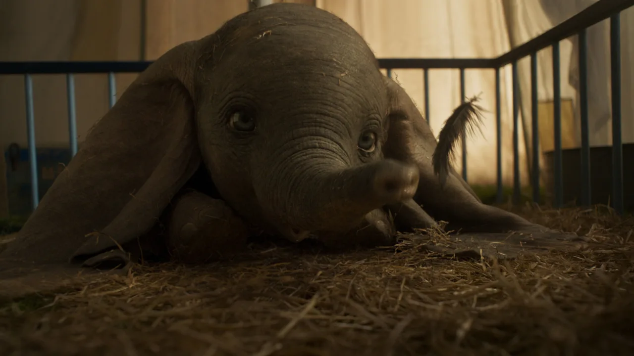 Dumbo İndir - görsel 7