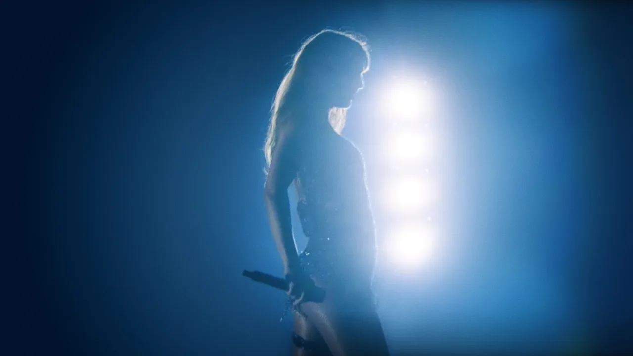 Taylor Swift | The Eras Tour | The Final Show İndir - görsel 7