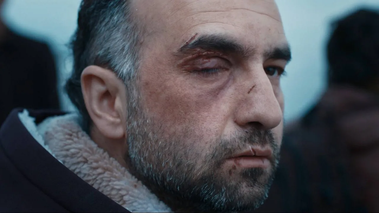 Sarmaşık İndir - görsel 4
