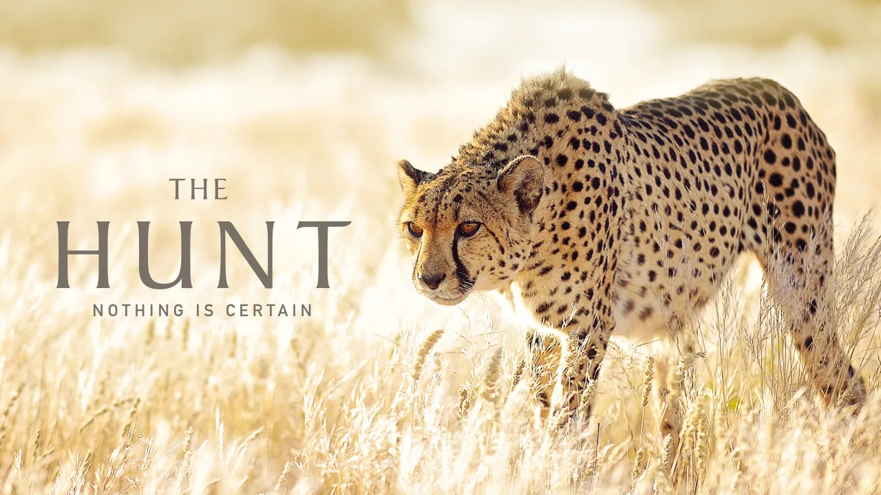 The Hunt 1080p İndir - görsel 10