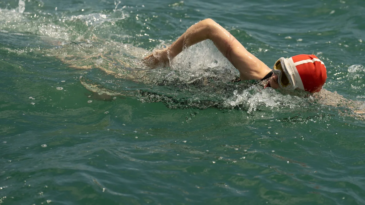 Young Woman and the Sea İndir - görsel 6