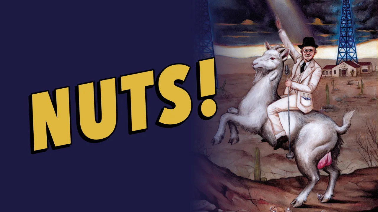 Nuts! İndir - görsel 10