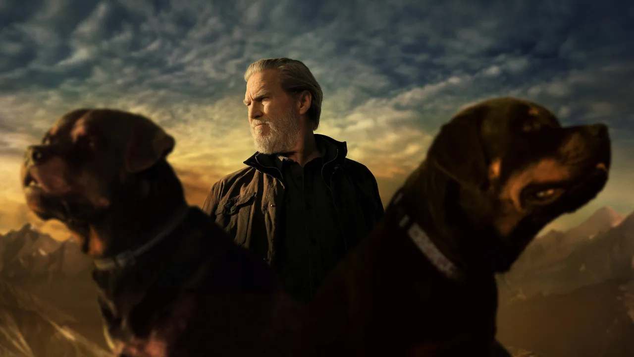 The Old Man - görsel 4