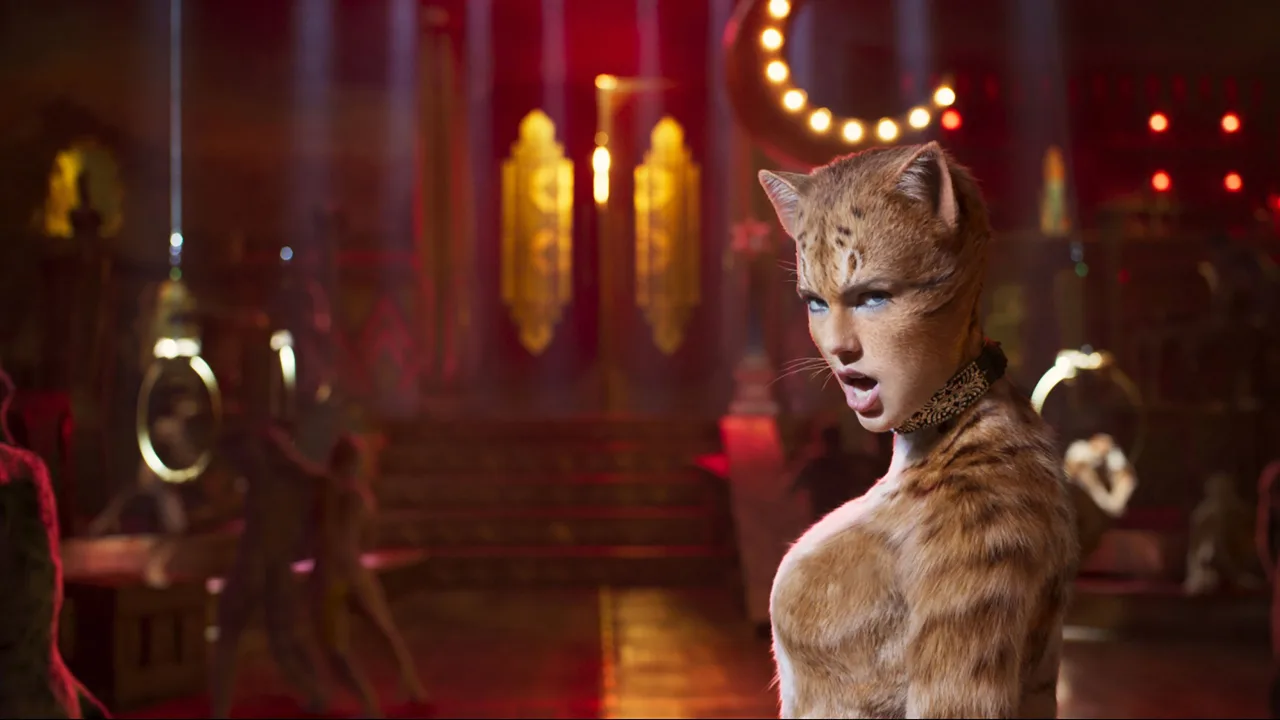 Cats İndir - görsel 8