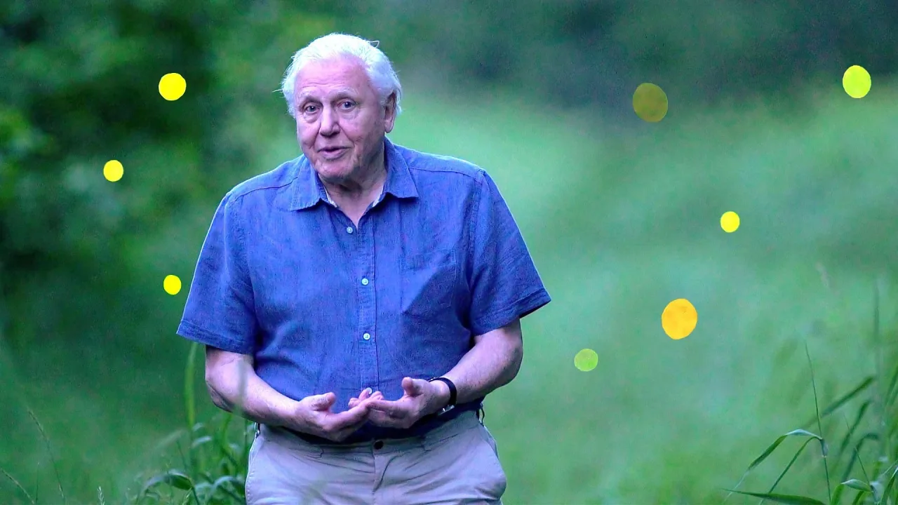 Attenborough's Life That Glows - görsel 1