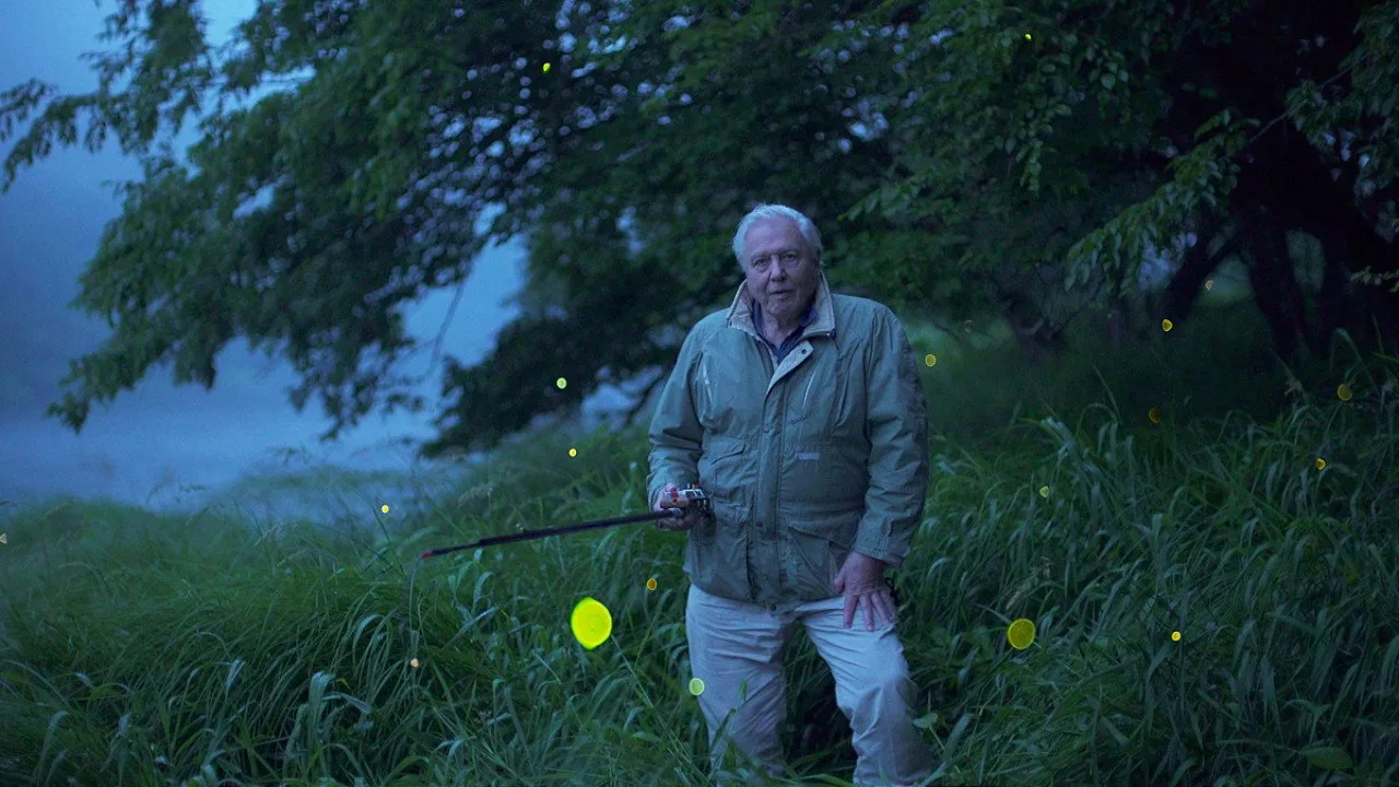 Attenborough's Life That Glows - görsel 2