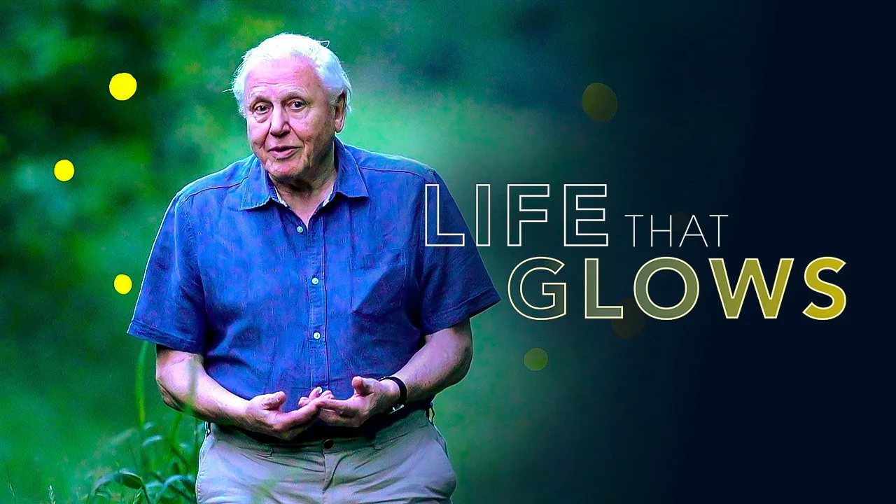 Attenborough's Life That Glows - görsel 4