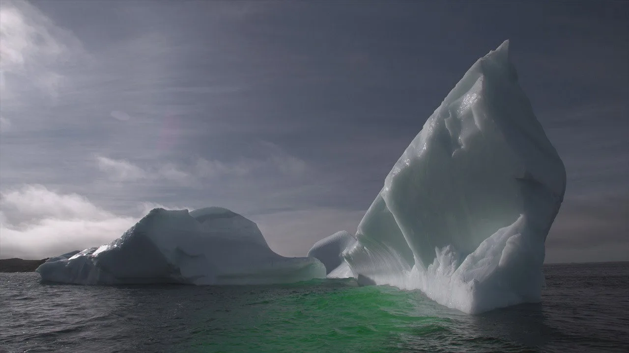 Arctic Secrets 1080p İndir - görsel 2