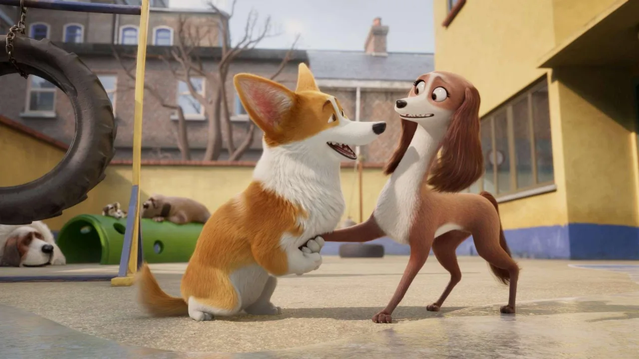 Corgi İndir - görsel 10