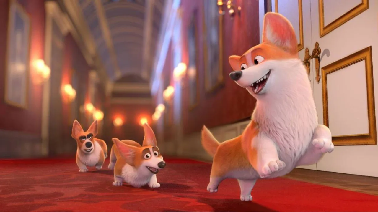 Corgi İndir - görsel 6