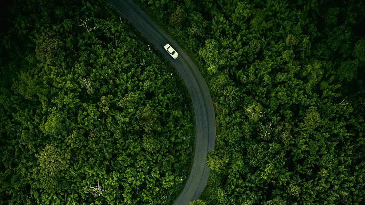 Hillbilly Elegy İndir - görsel 8