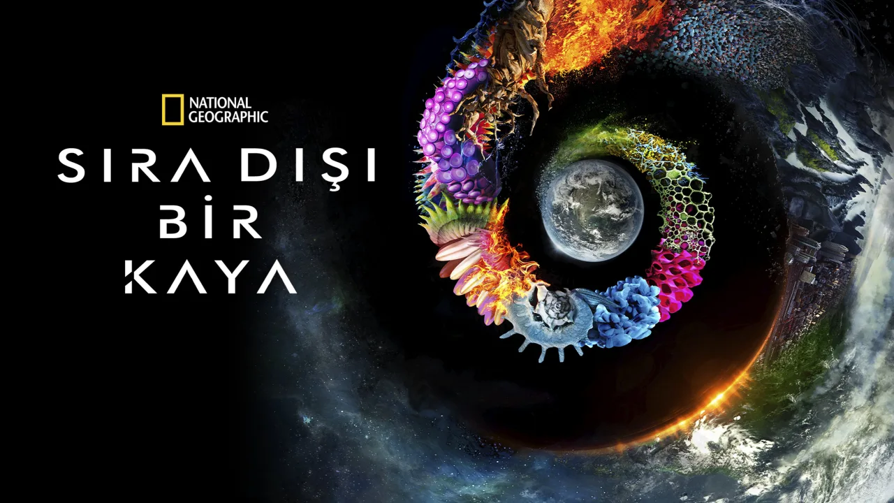 Sıra Dışı Bir Kaya İndir - görsel 10