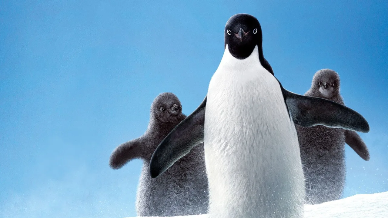 Penguenler İndir - görsel 8