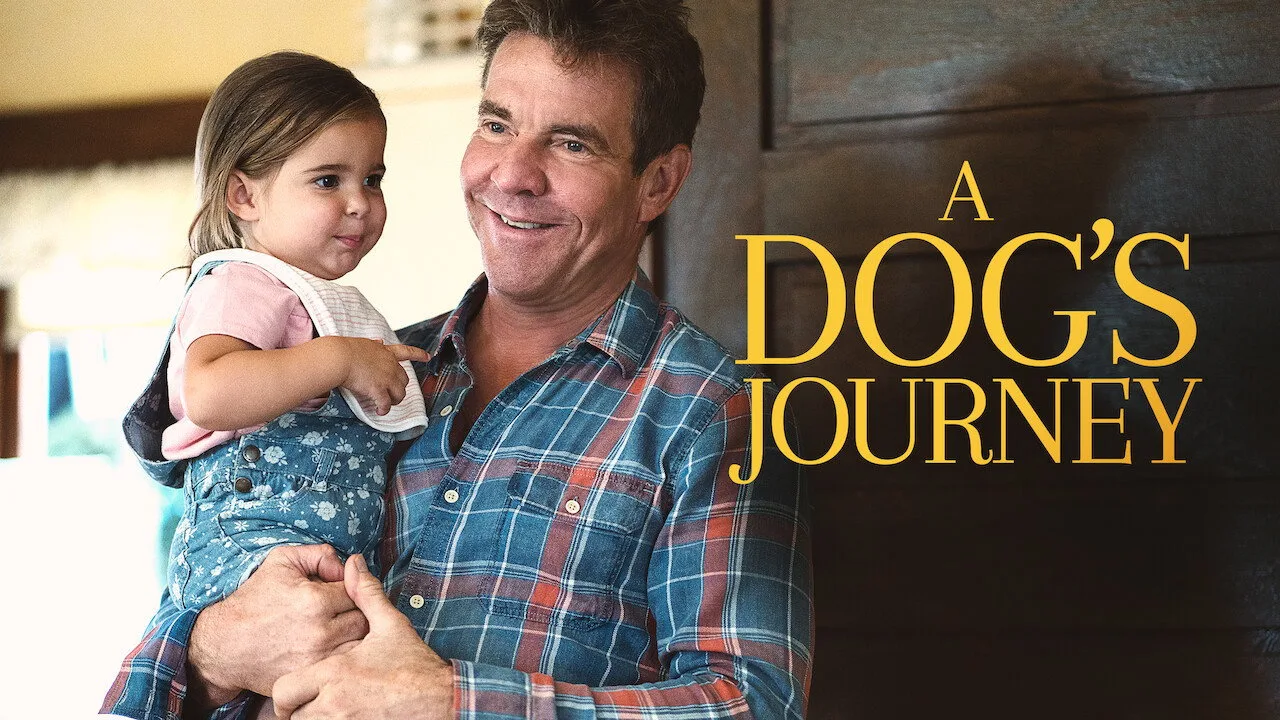 A Dog's Journey İndir - görsel 10