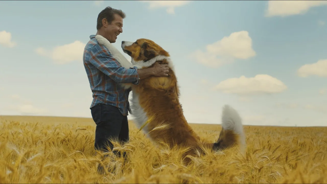 A Dog's Journey İndir - görsel 8