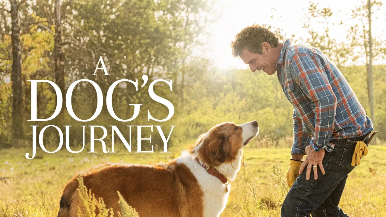 A Dog's Journey İndir - görsel 9