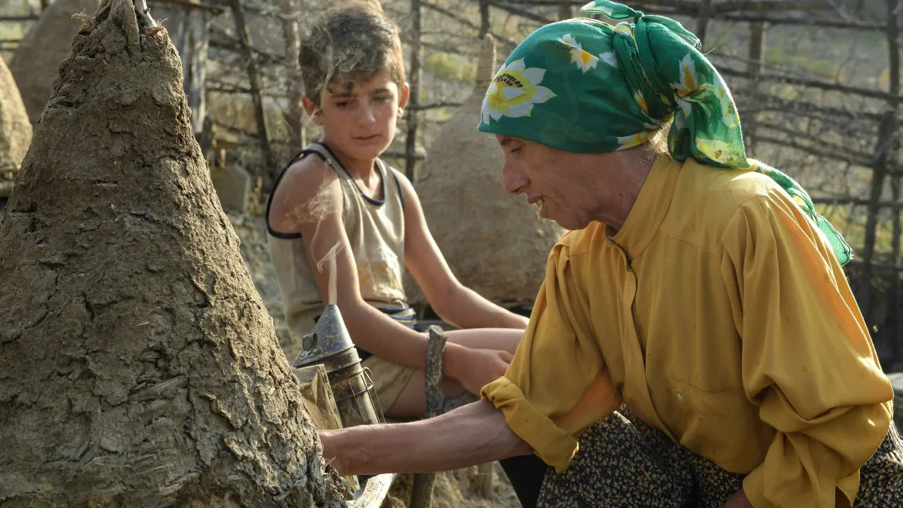 Bal Ülkesi - görsel 8
