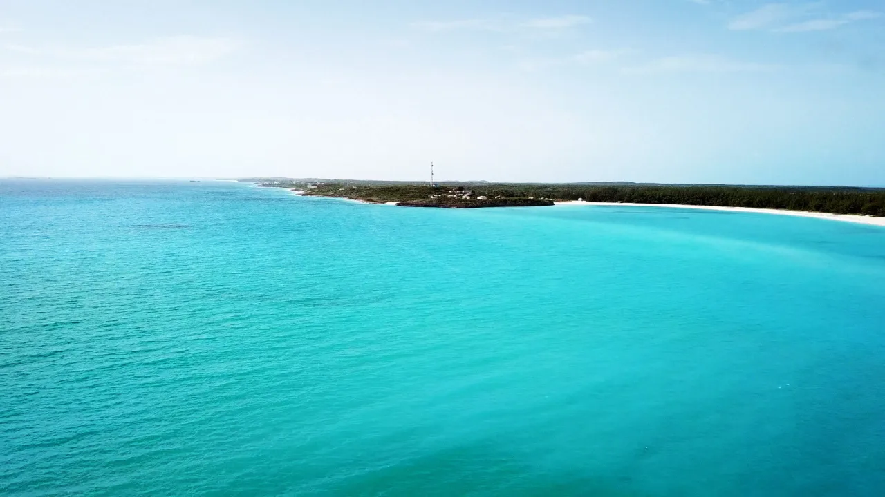 FYRE: Festival Fiyaskosu İndir - görsel 5