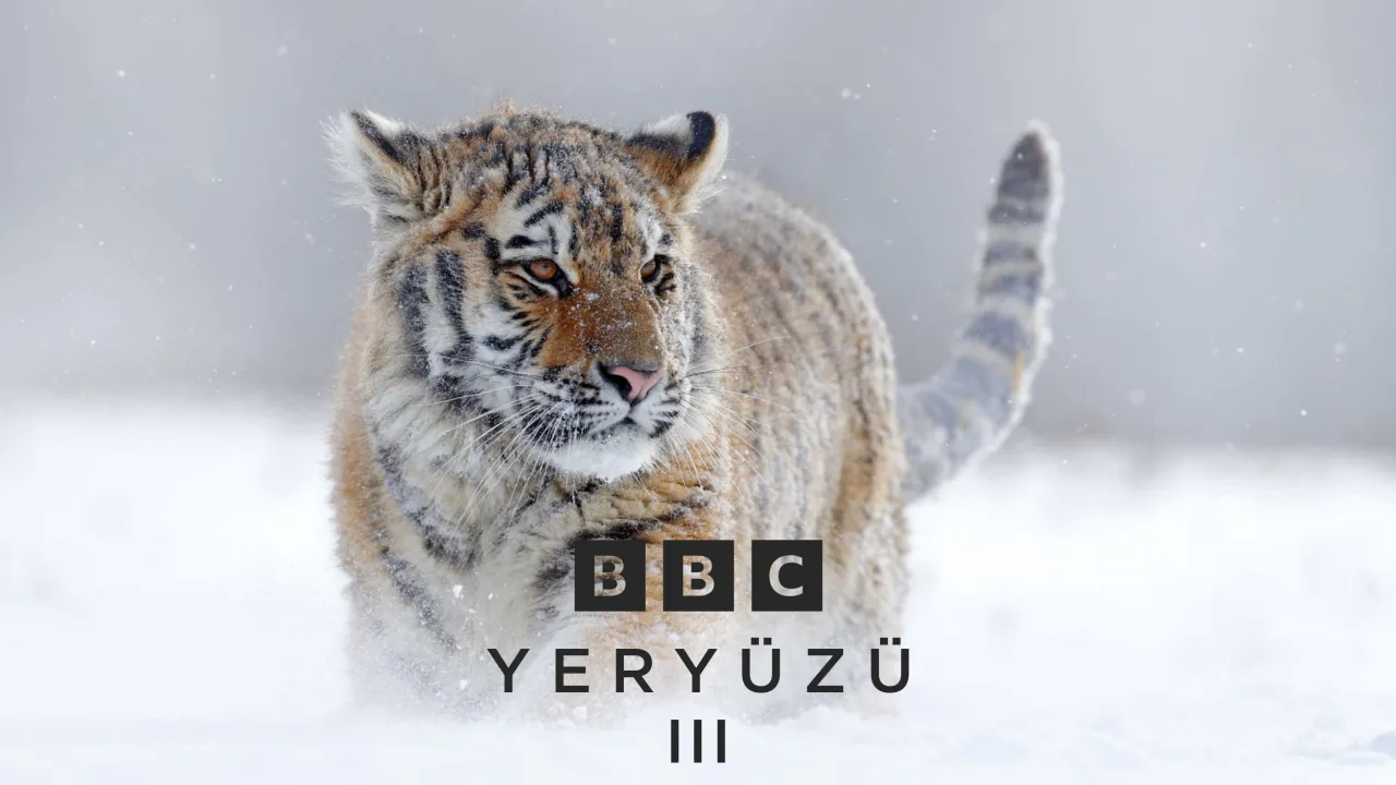 Yeryüzü 3 1080p İndir - görsel 6