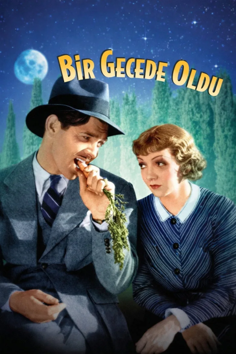 Bir Gecede Oldu İndir - görsel 11