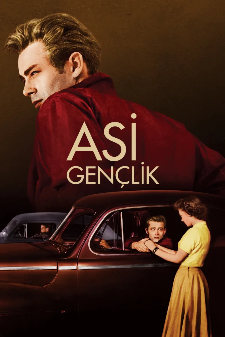 Asi Gençlik İndir - görsel 11