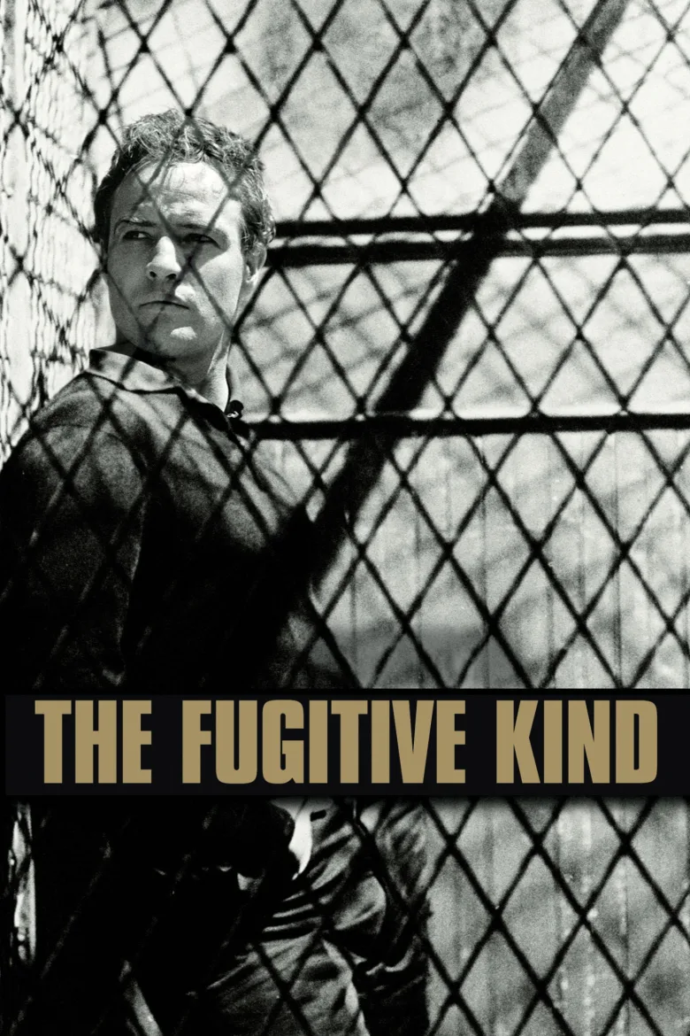 The Fugitive Kind İndir - görsel 13
