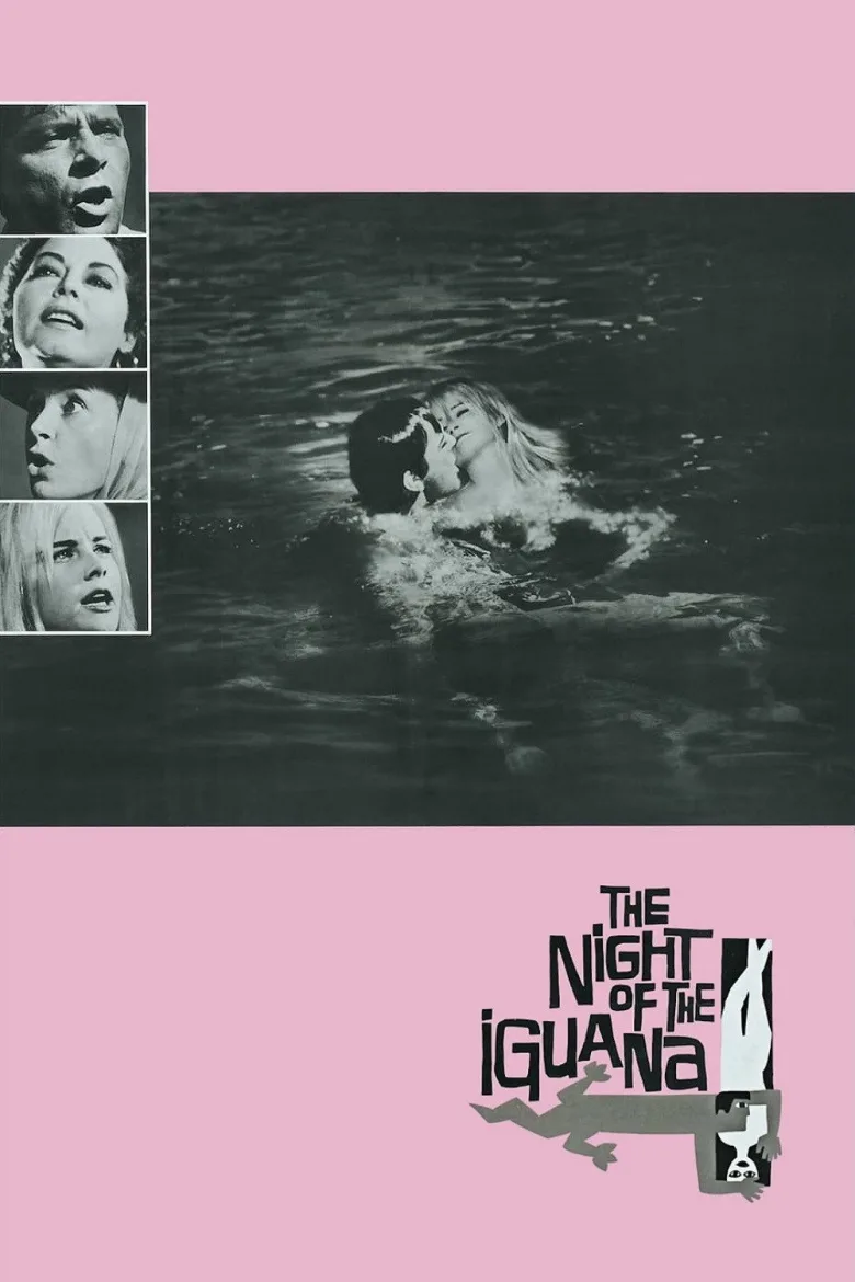 The Night of the Iguana İndir - görsel 13