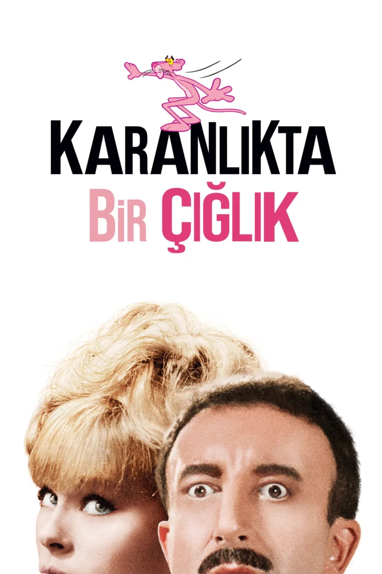 Karanlıkta Bir Çığlık İndir - görsel 11