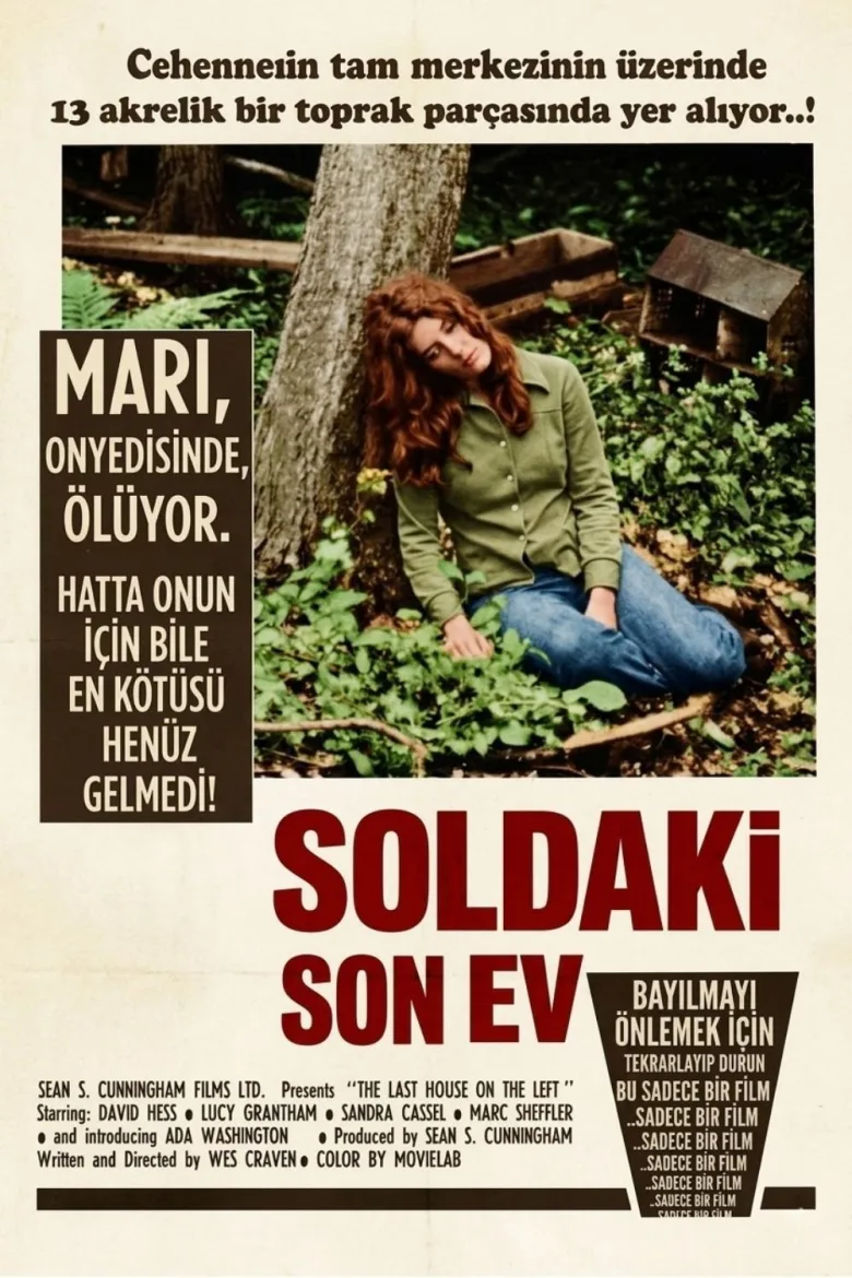 Soldaki Son Ev İndir - görsel 11