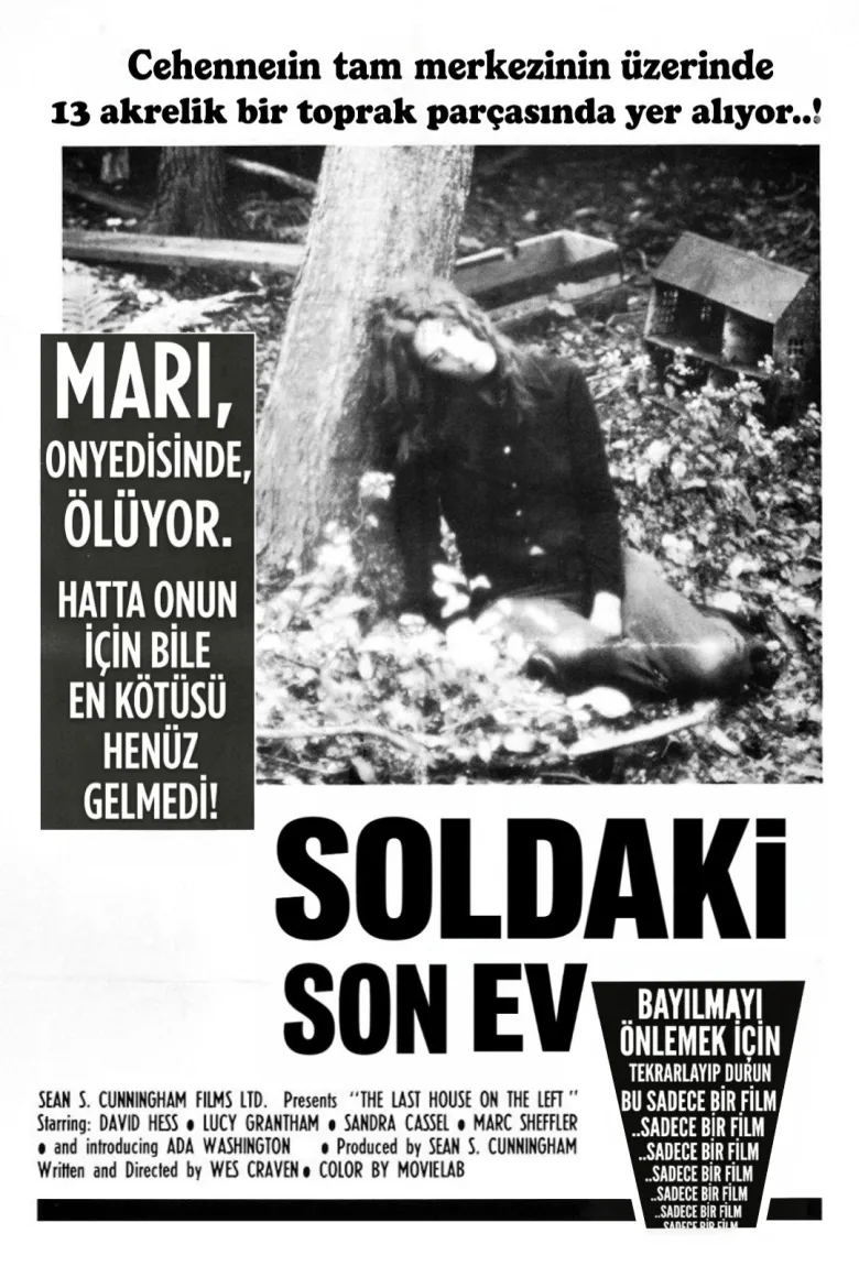 Soldaki Son Ev İndir - görsel 12
