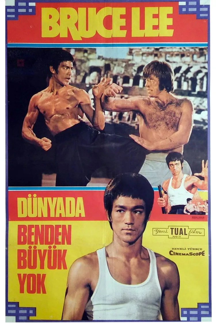 Ejder'in Dönüşü İndir - görsel 11