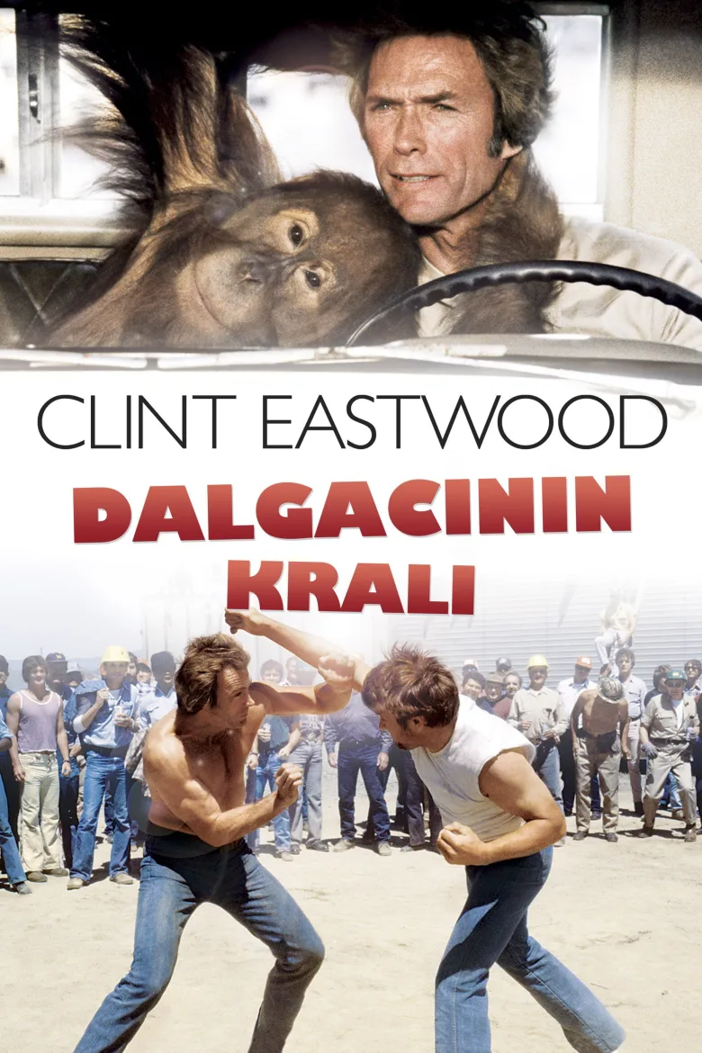 Dalgacının Kralı İndir - görsel 11