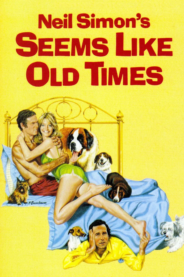 Seems Like Old Times İndir - görsel 9