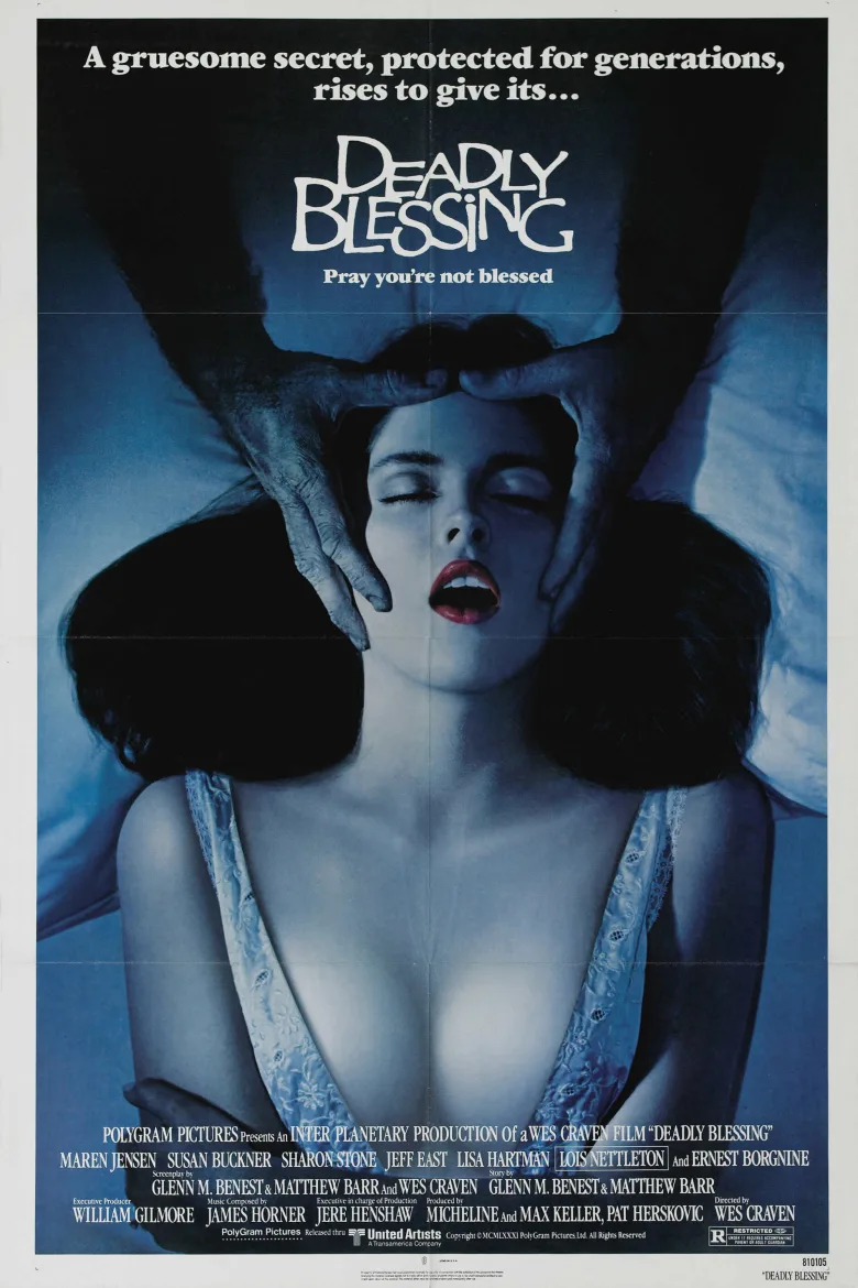 Deadly Blessing İndir - görsel 14