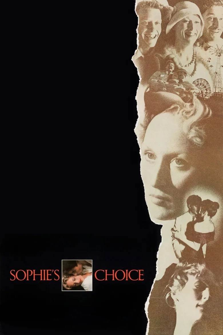Sophie'nin Seçimi İndir - görsel 13