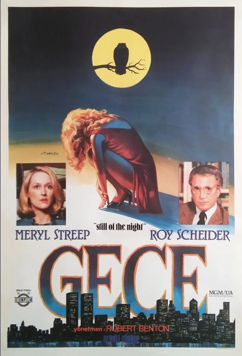 Gece İndir - görsel 11