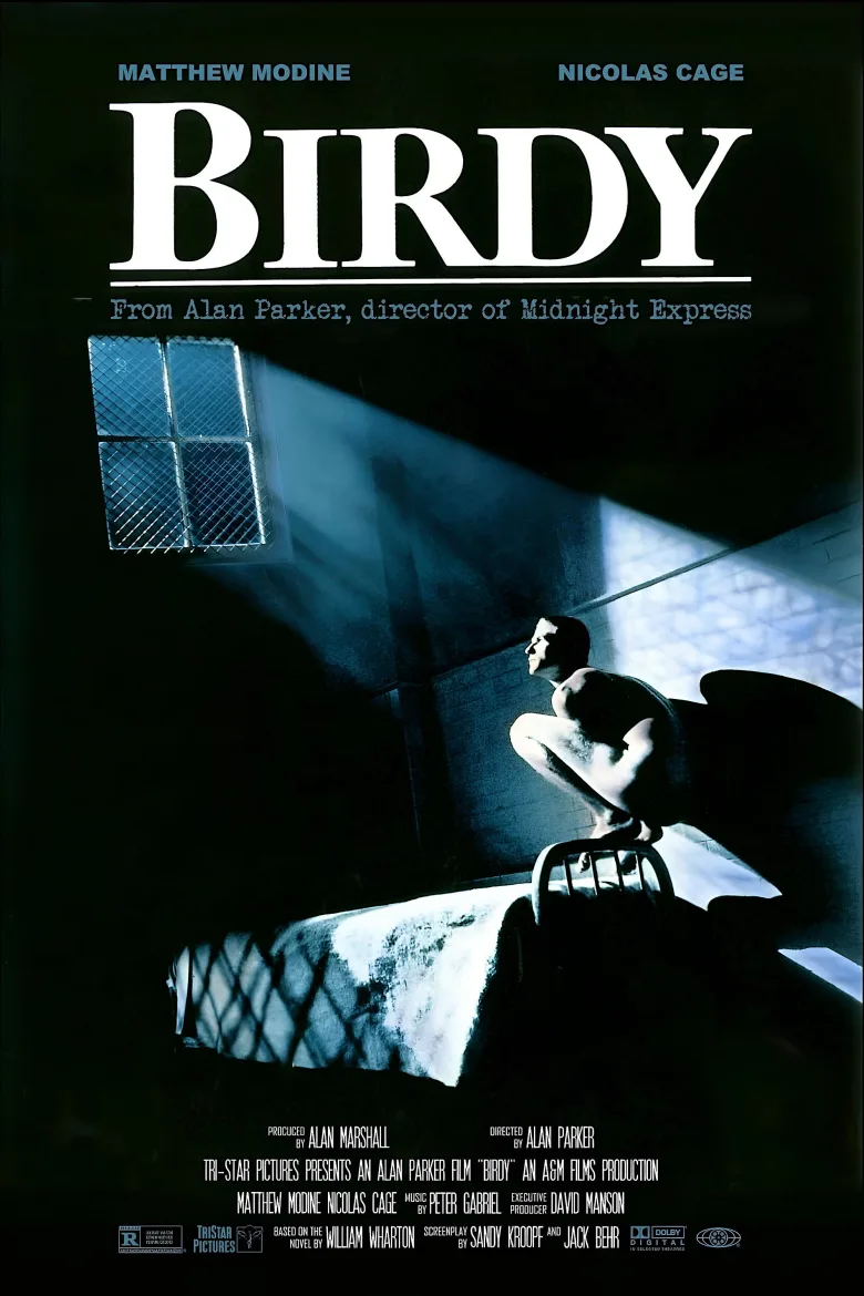 Birdy İndir - görsel 14