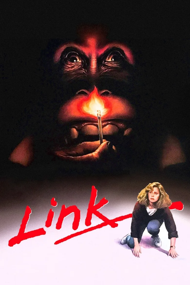Link İndir - görsel 11