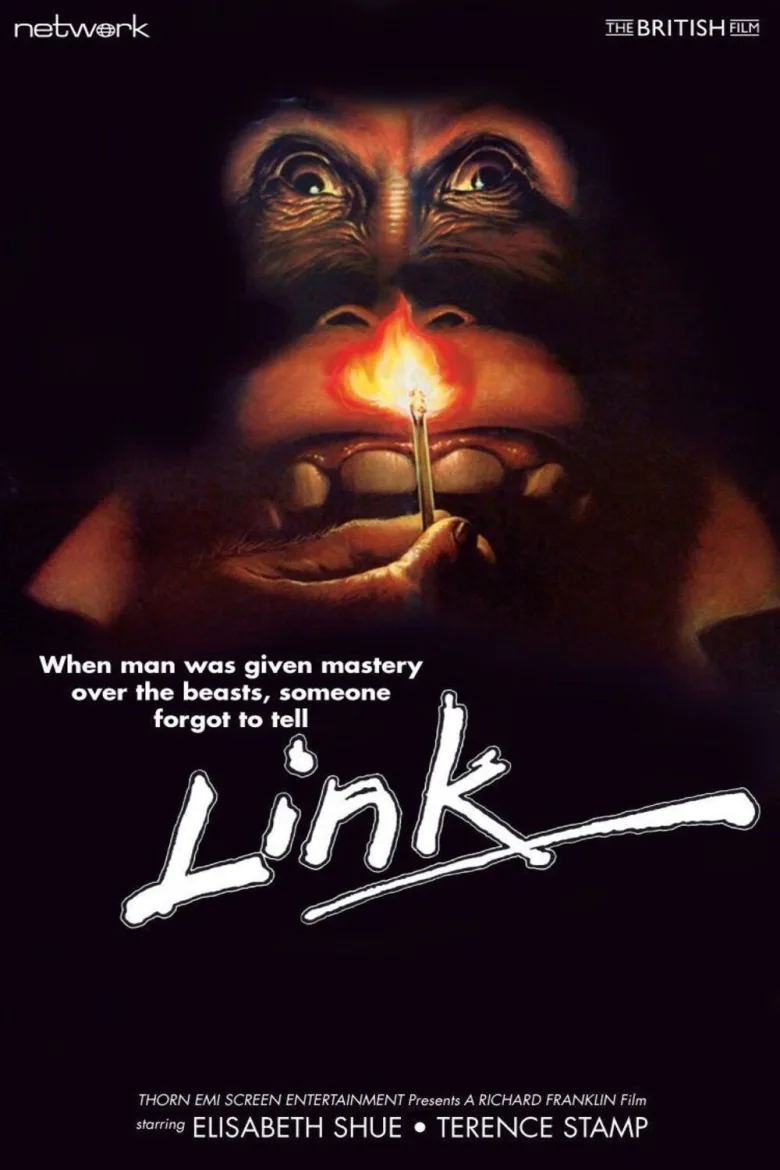 Link İndir - görsel 14