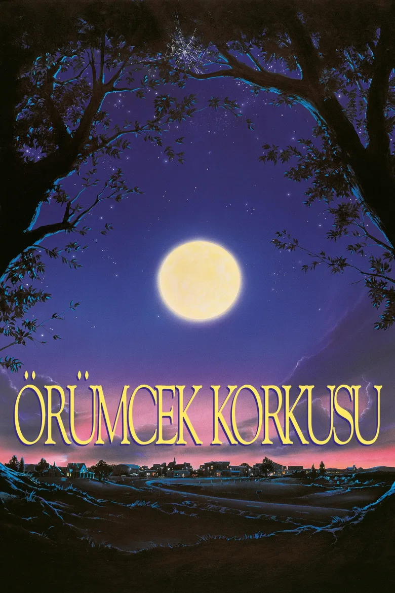 Örümcek Korkusu - görsel 11
