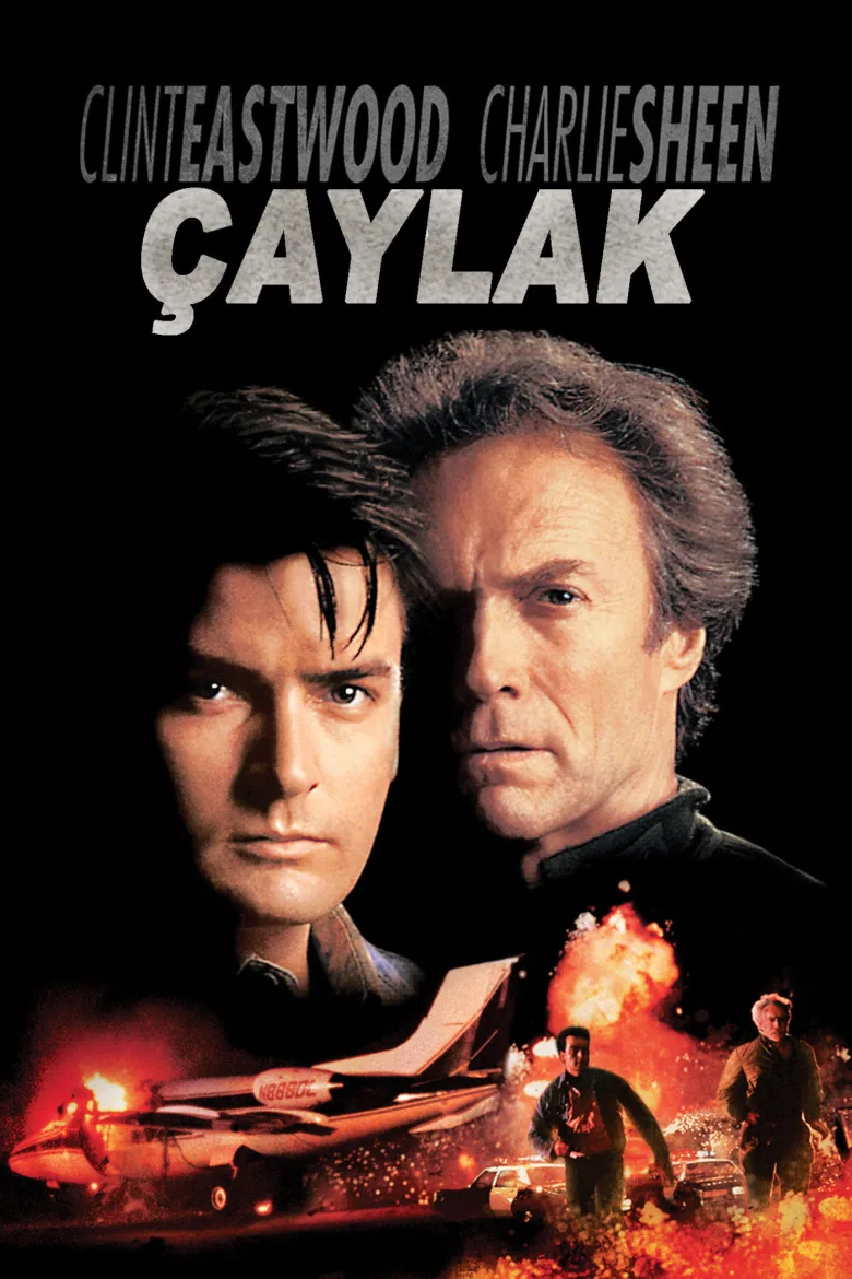 Çaylak İndir - görsel 11