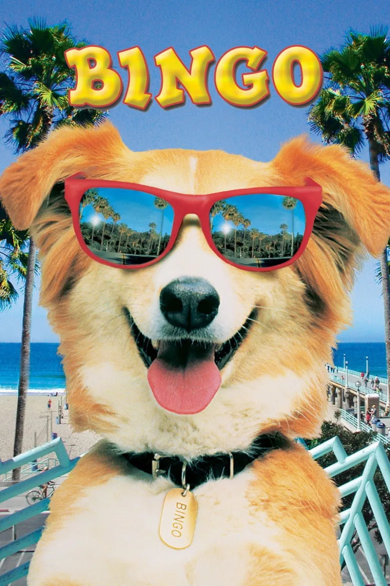 Kahraman Köpek Bingo İndir - görsel 7