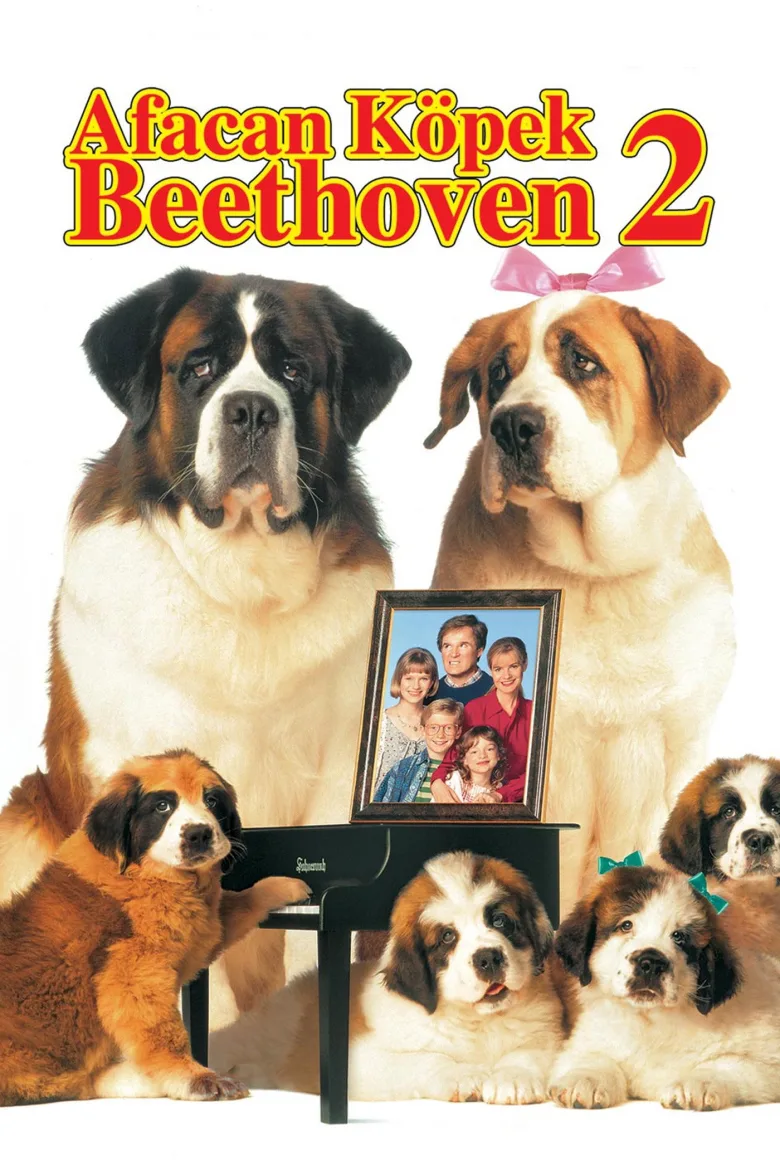 Afacan Köpek Beethoven 2 İndir - görsel 11