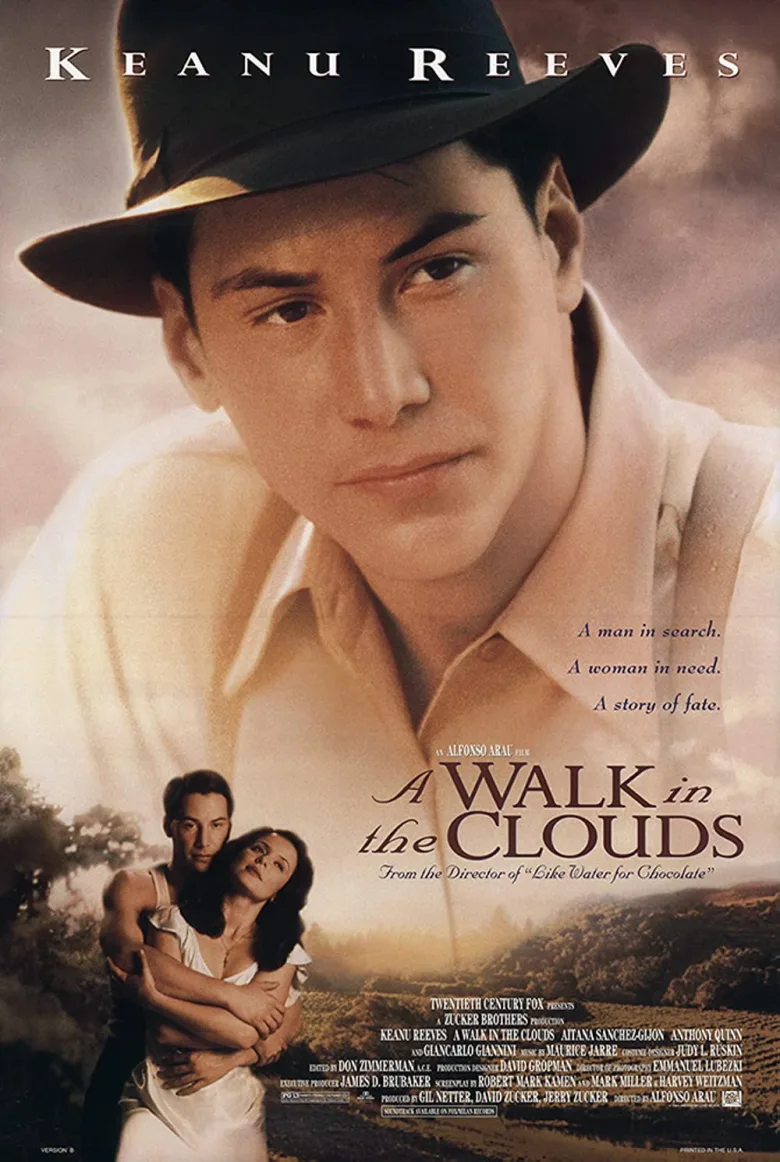 A Walk in the Clouds İndir - görsel 12