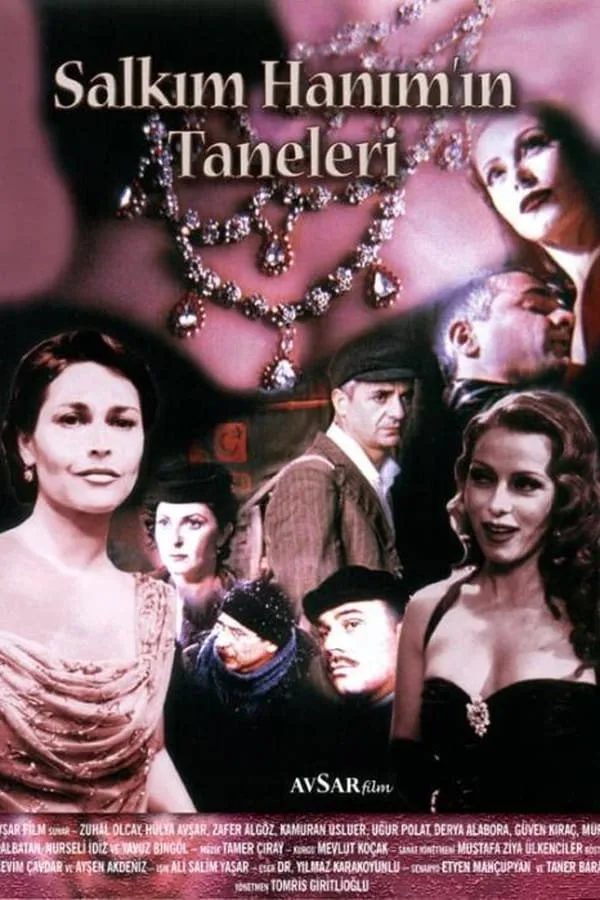 Salkım Hanım'ın Taneleri - görsel 7