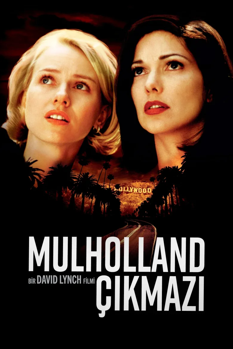 Mulholland Çıkmazı İndir - görsel 12