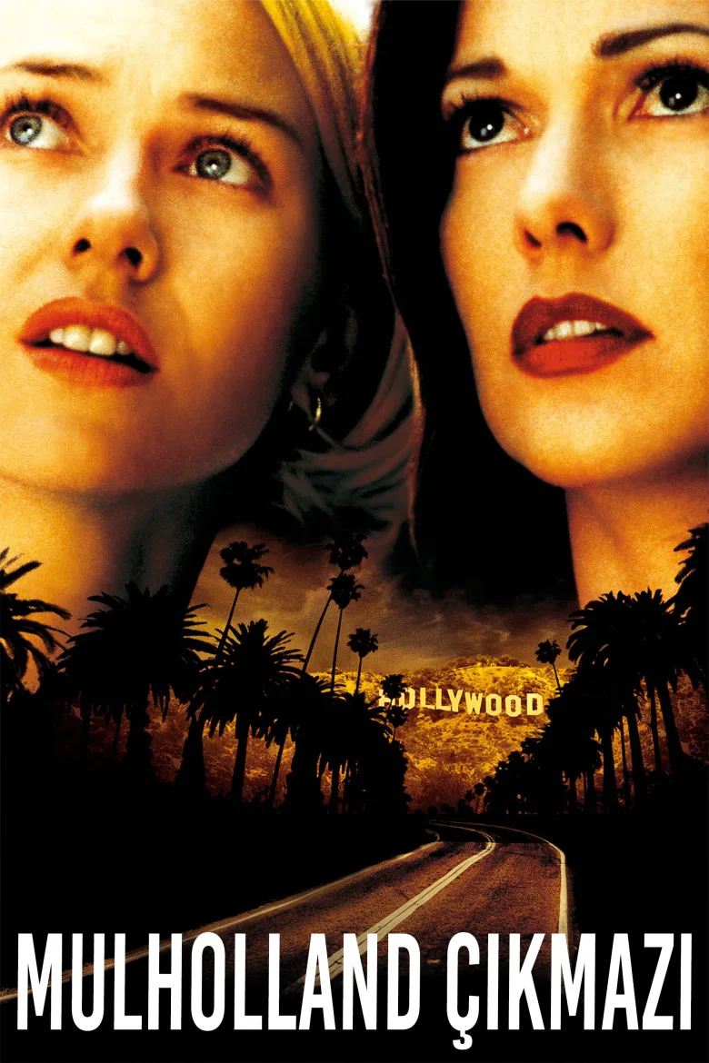 Mulholland Çıkmazı İndir - görsel 13