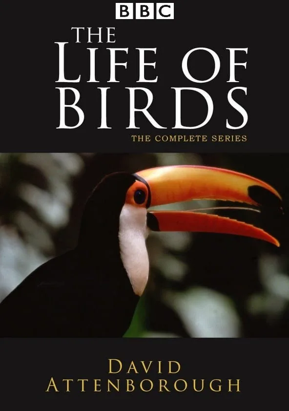 The Life of Birds İndir - görsel 5