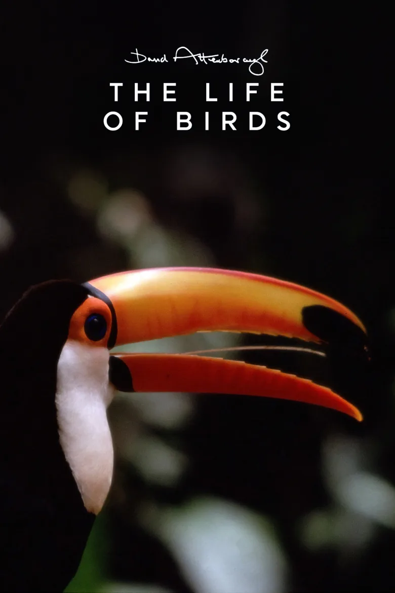 The Life of Birds İndir - görsel 6